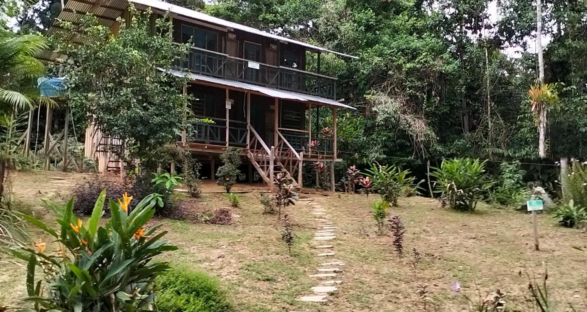 Cabanas Eco Logicas Mu'Ue Loreto Mocagua 外观 照片