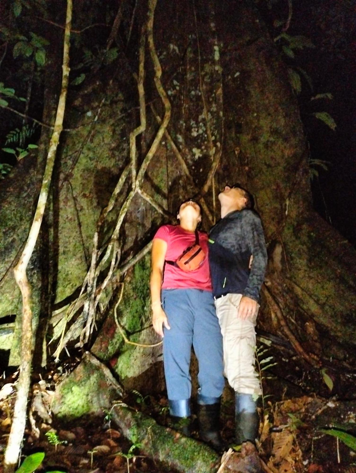 Cabanas Eco Logicas Mu'Ue Loreto Mocagua 外观 照片